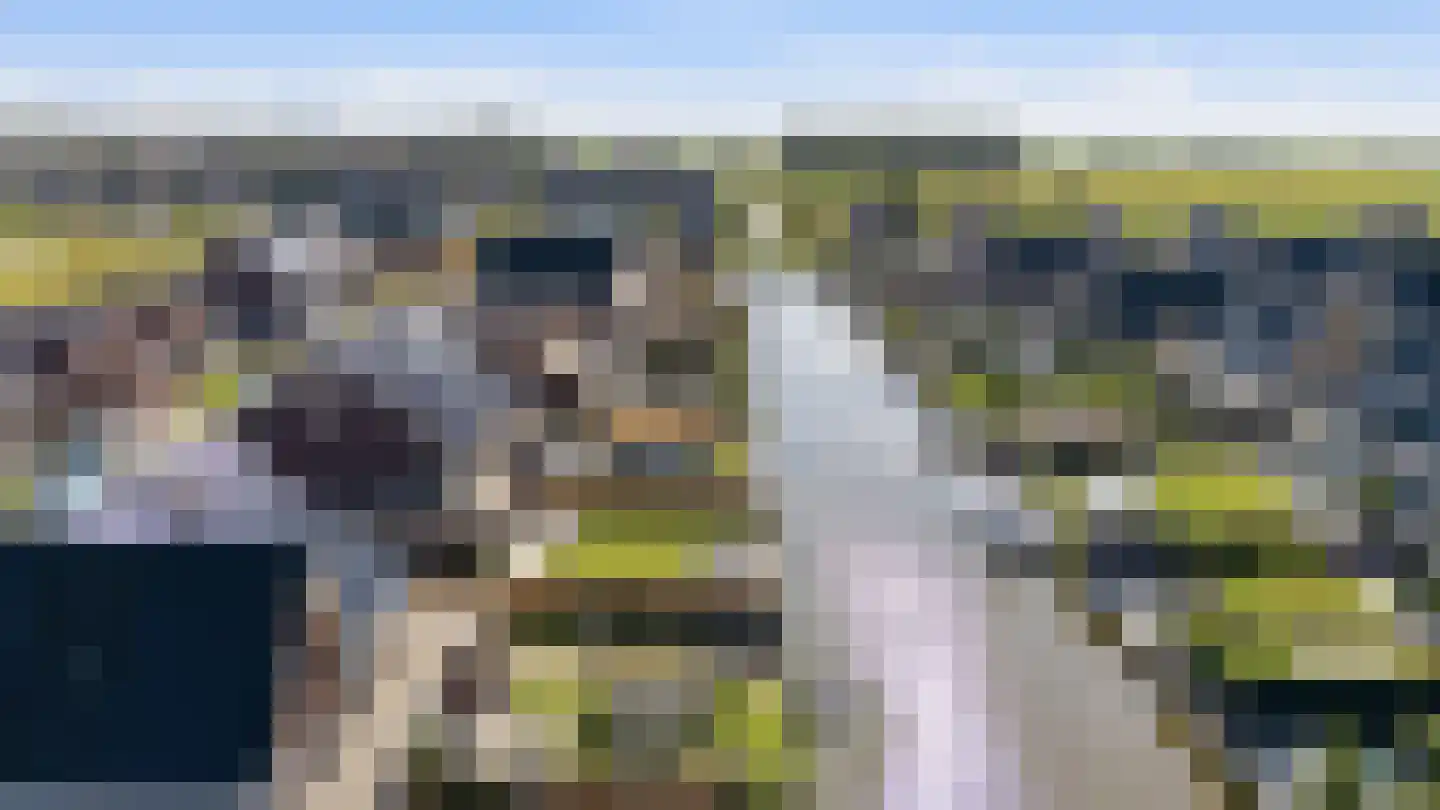 Burrefeart 17 Franeker thumbnail 65