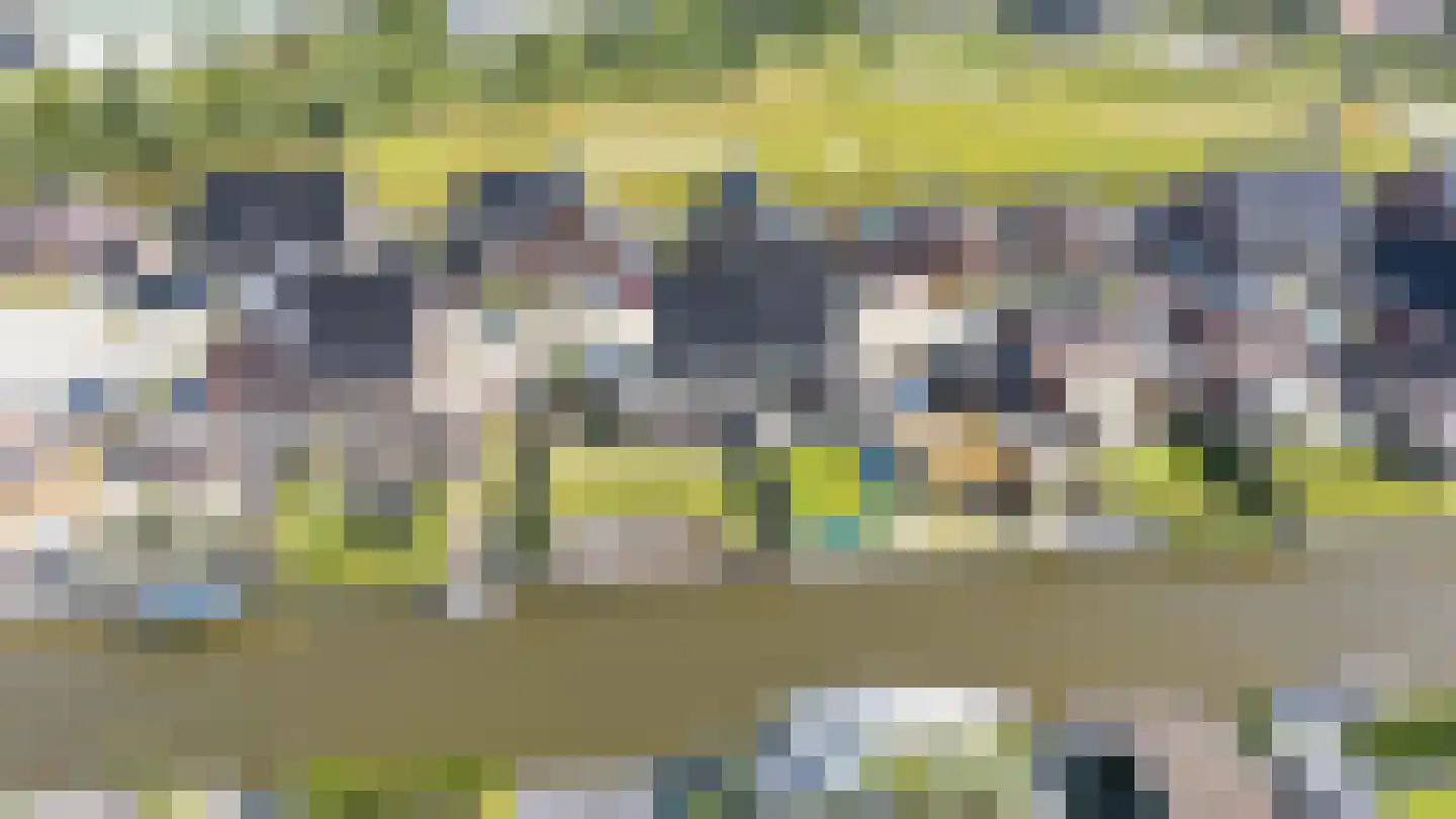 Burrefeart 17 Franeker thumbnail 66