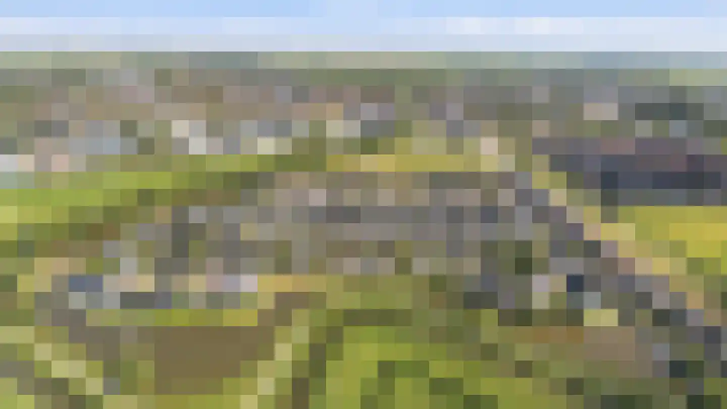 Burrefeart 17 Franeker thumbnail 68
