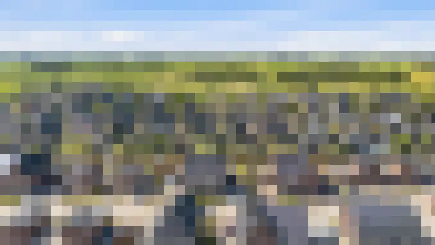 Burrefeart 17 Franeker thumbnail 9