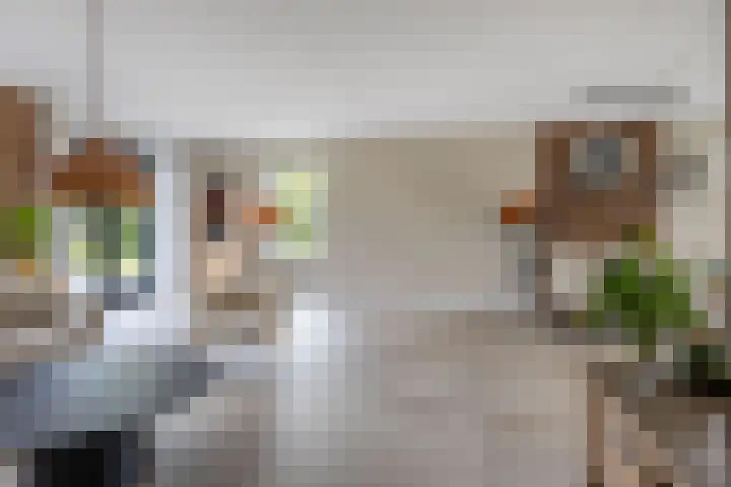 Burrefeart 30 Franeker thumbnail 19