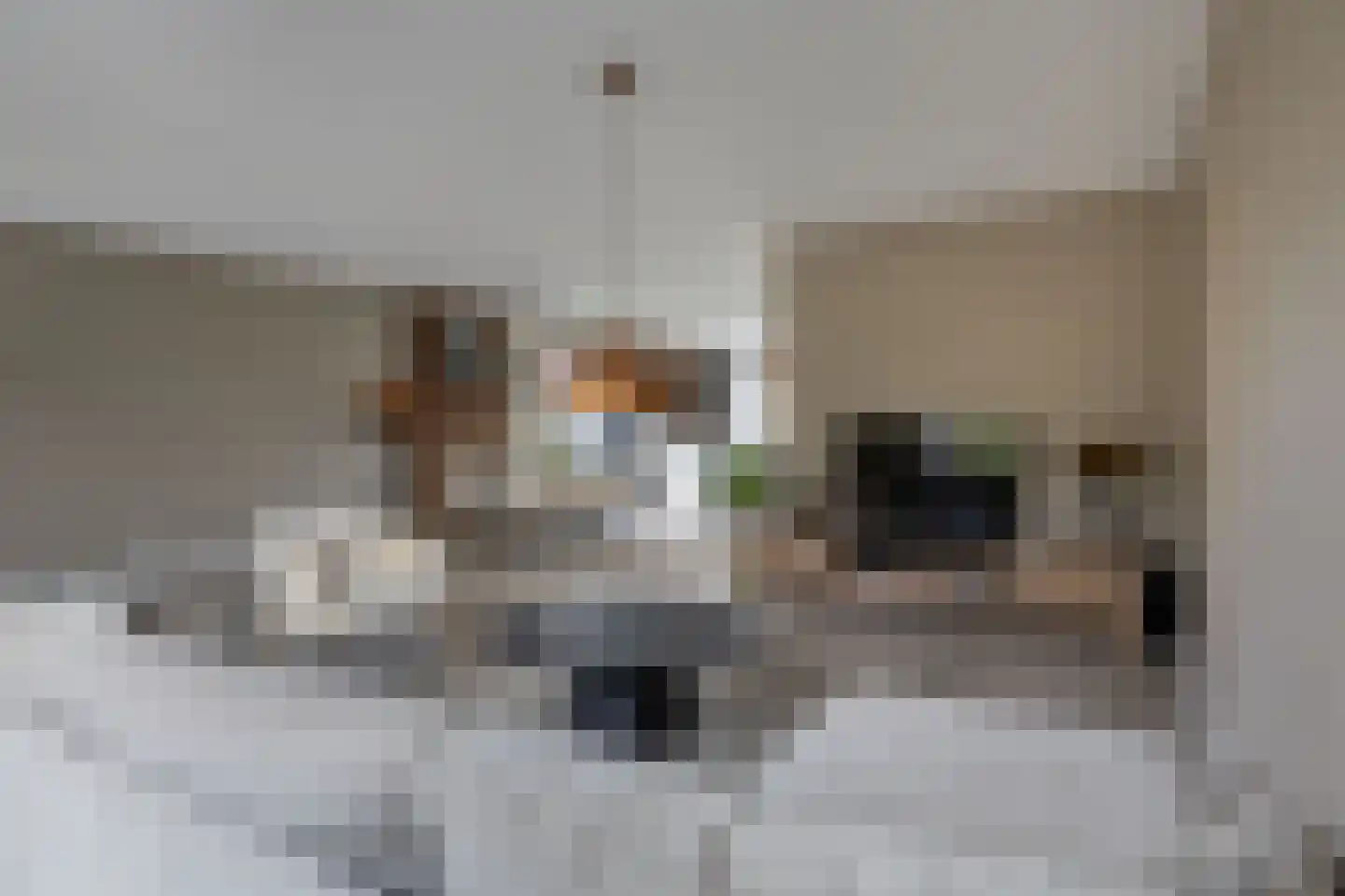Burrefeart 30 Franeker thumbnail 20