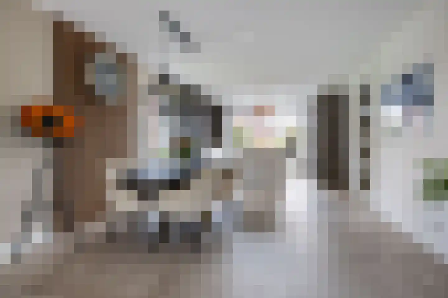 Burrefeart 30 Franeker thumbnail 24