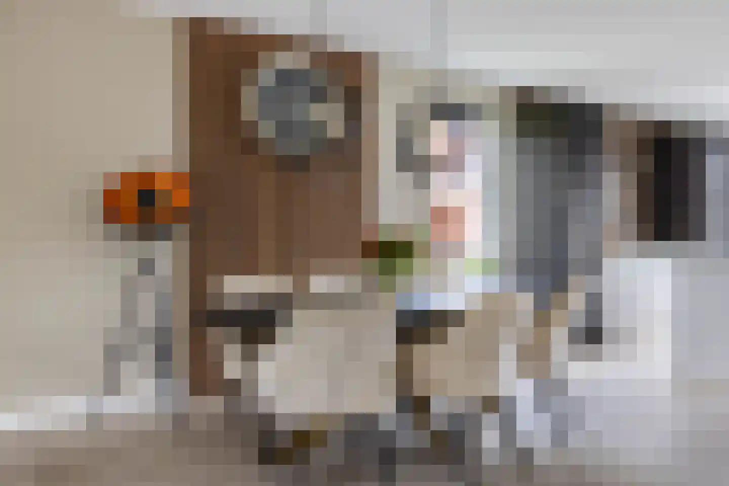 Burrefeart 30 Franeker thumbnail 25