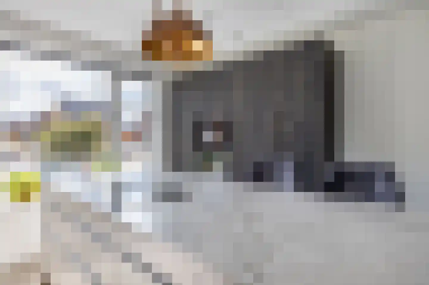 Burrefeart 30 Franeker thumbnail 29