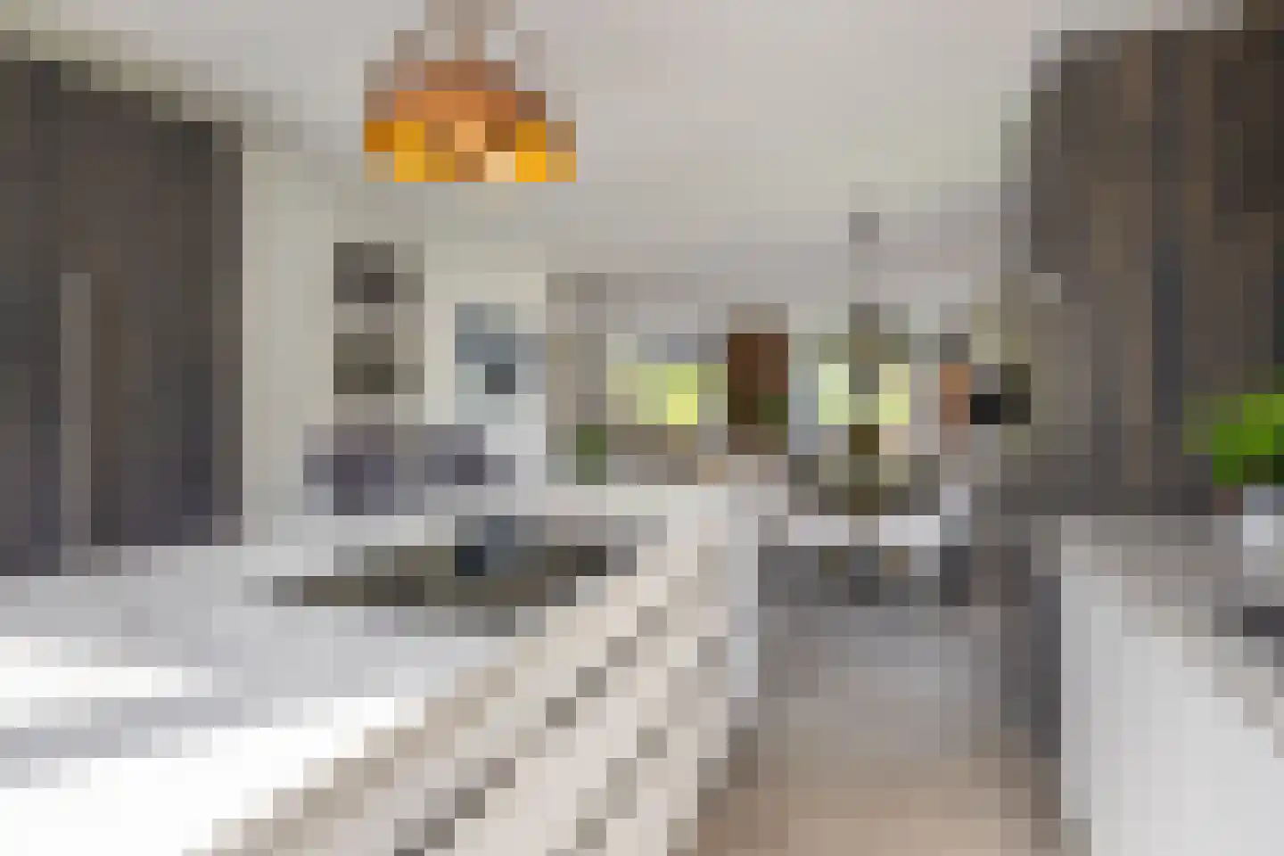 Burrefeart 30 Franeker thumbnail 32