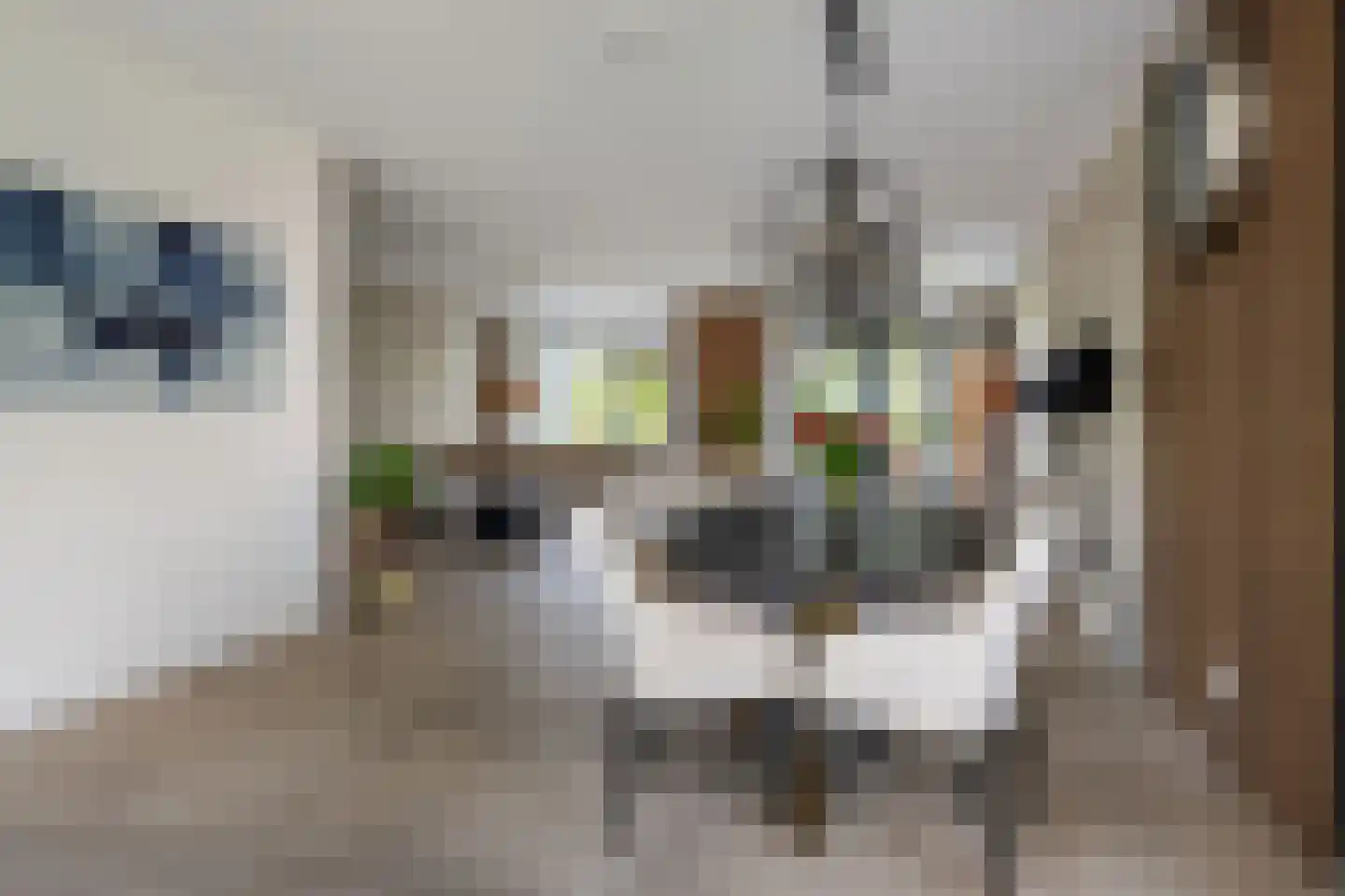 Burrefeart 30 Franeker thumbnail 33