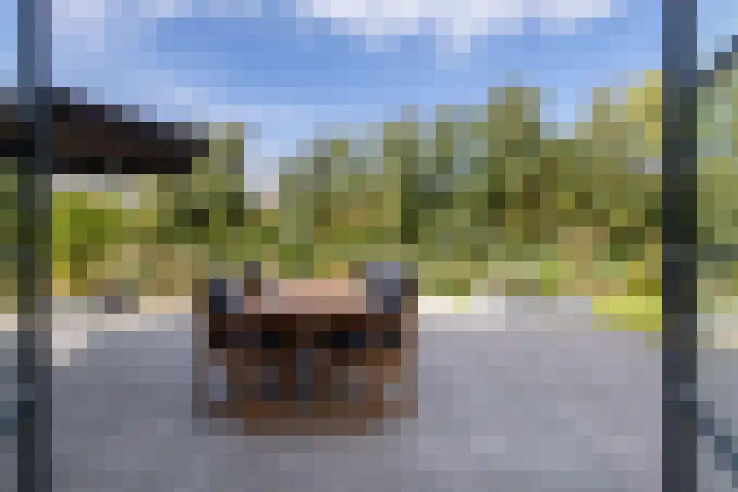 Burrefeart 30 Franeker thumbnail 61