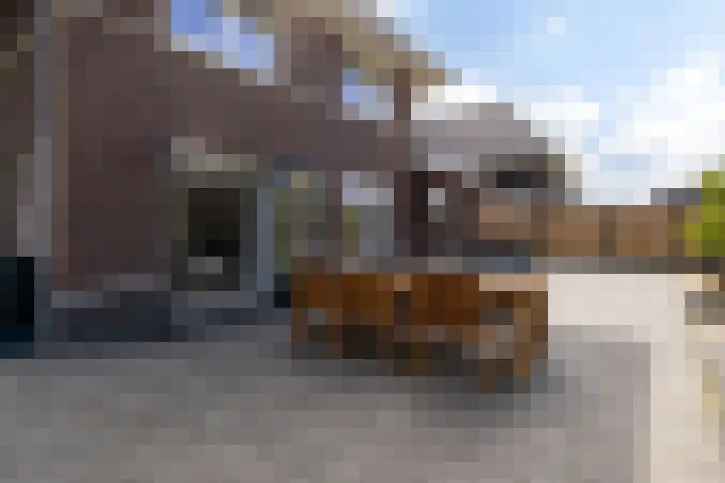 Burrefeart 30 Franeker thumbnail 62