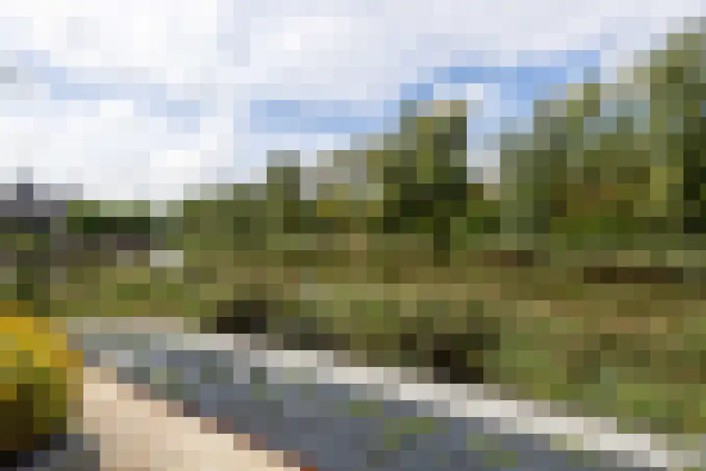 Burrefeart 30 Franeker thumbnail 65