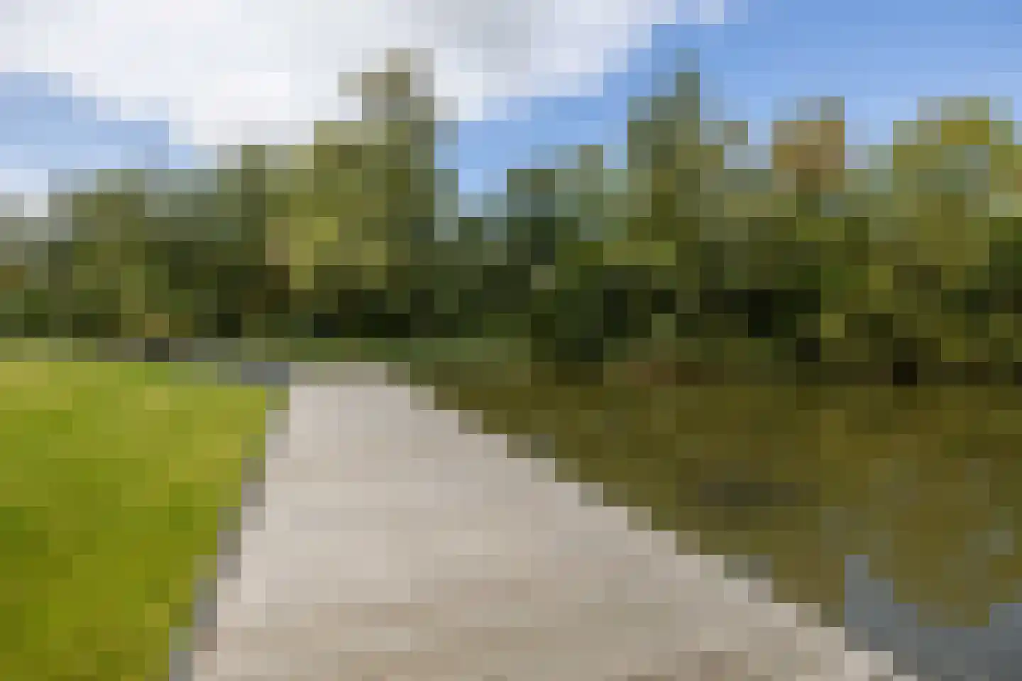 Burrefeart 30 Franeker thumbnail 69