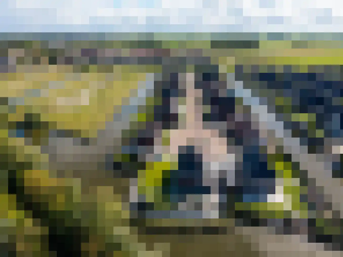 Burrefeart 30 Franeker thumbnail 73