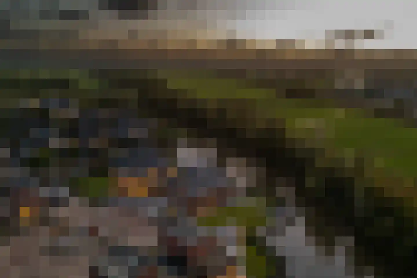 Burrefeart 30 Franeker thumbnail 77