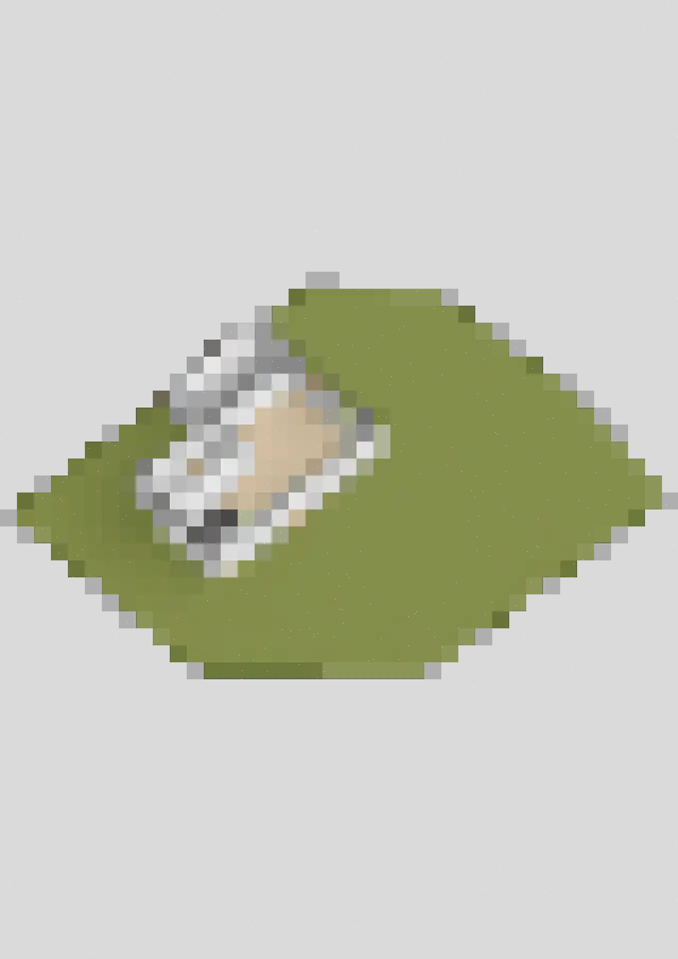 Burrefeart 30 Franeker thumbnail 86