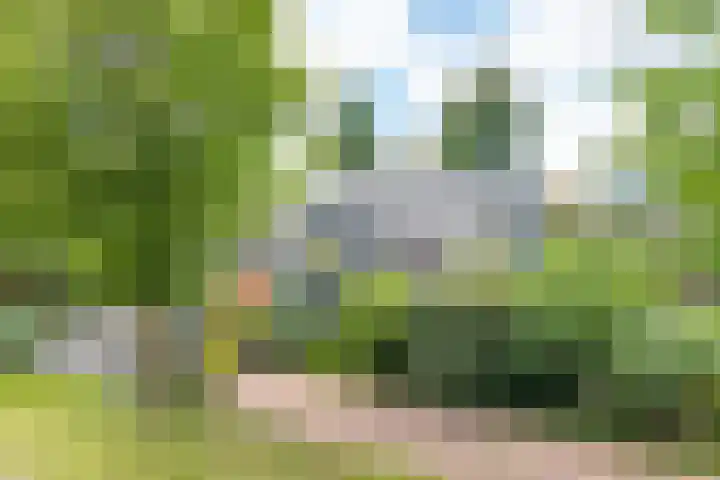 Burt Bacharachstraat 10 Utrecht thumbnail 6
