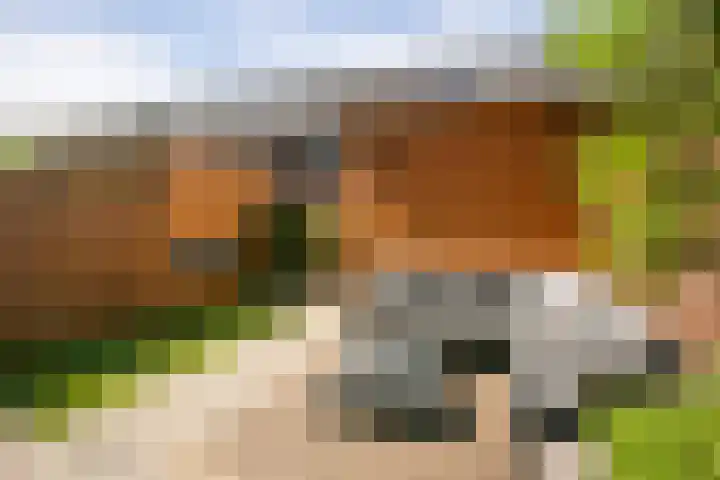Burt Bacharachstraat 121 Utrecht thumbnail 36