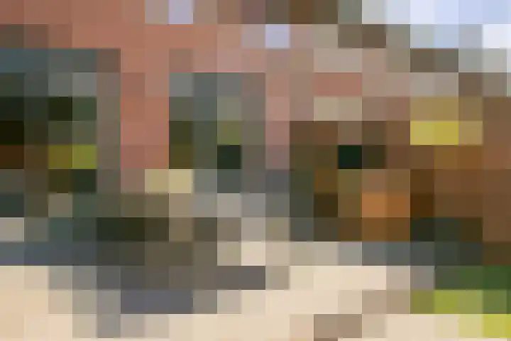 Burt Bacharachstraat 121 Utrecht thumbnail 37
