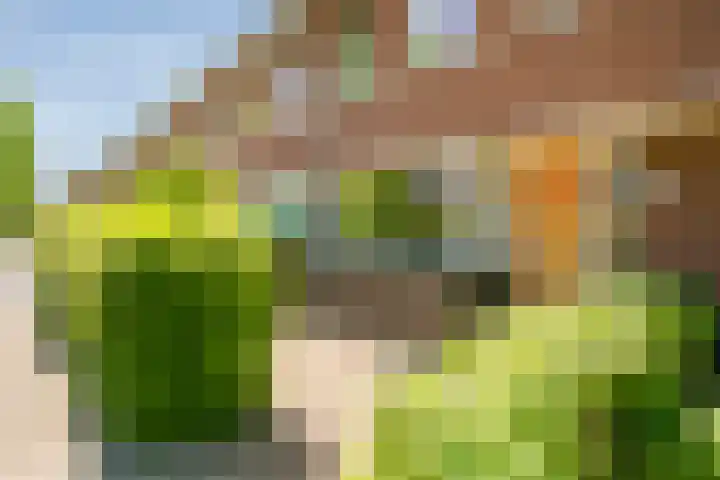 Burt Bacharachstraat 121 Utrecht thumbnail 8