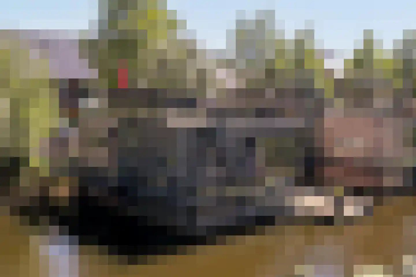 Burt Bacharachstraat 22 Utrecht thumbnail 45