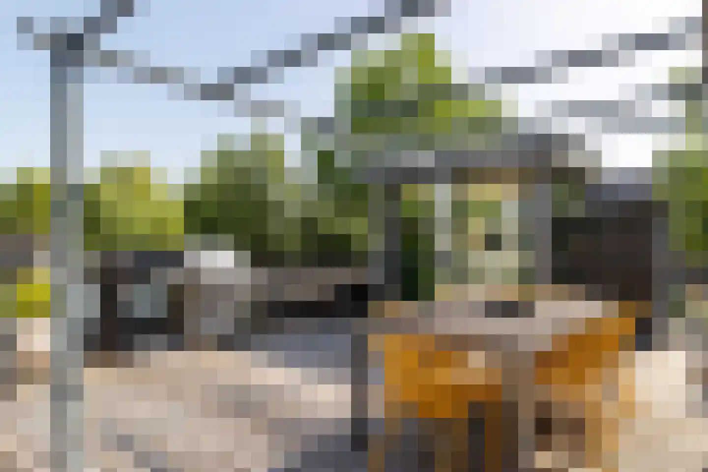 Burt Bacharachstraat 24 Utrecht thumbnail 33