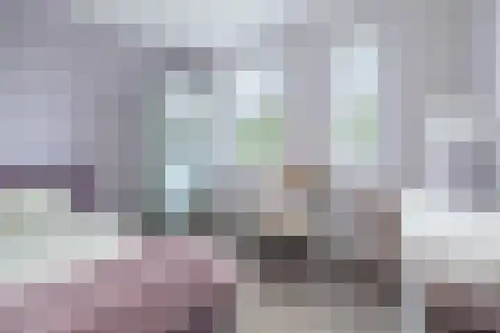 Buru 13 Barneveld thumbnail 20