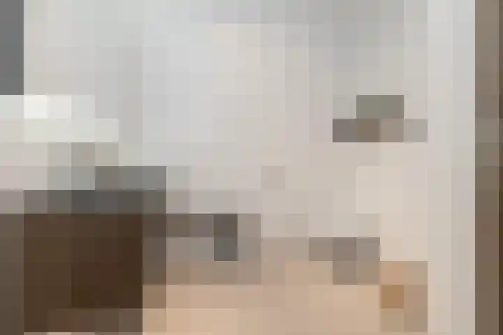 Buru 13 Barneveld thumbnail 25