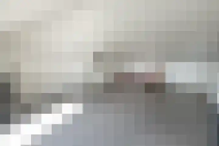 Buru 13 Barneveld thumbnail 29
