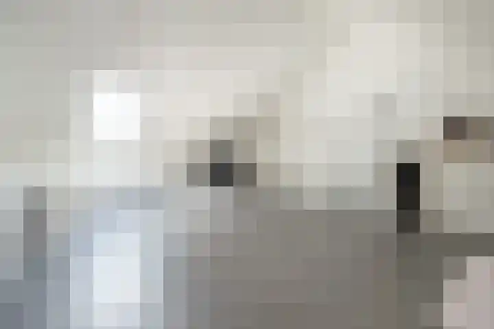 Buru 13 Barneveld thumbnail 30