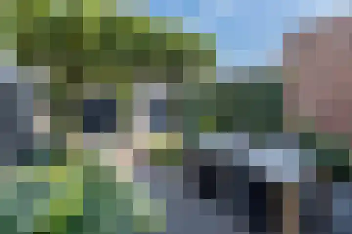 Buru 13 Barneveld thumbnail 32