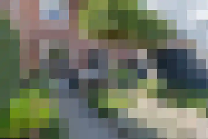 Buru 13 Barneveld thumbnail 33