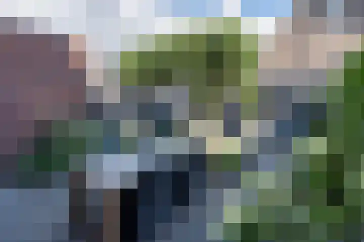 Buru 13 Barneveld thumbnail 34