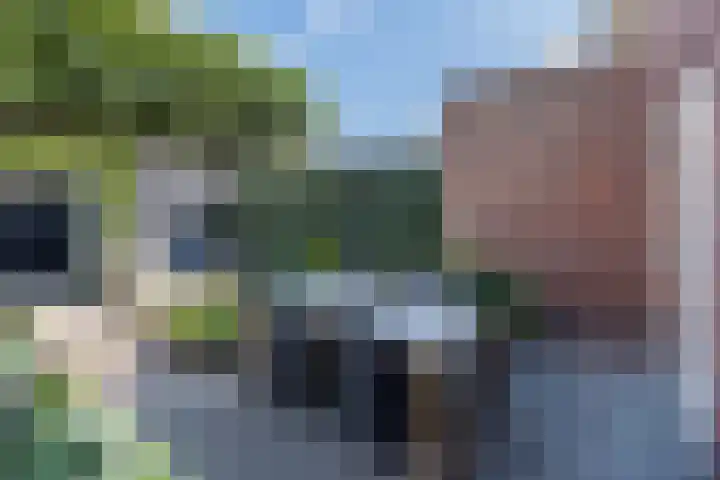 Buru 13 Barneveld thumbnail 35