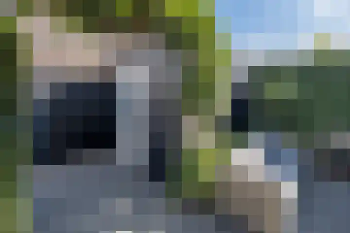 Buru 13 Barneveld thumbnail 36