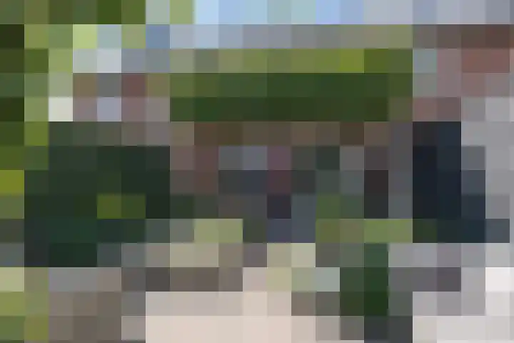 Buru 13 Barneveld thumbnail 37