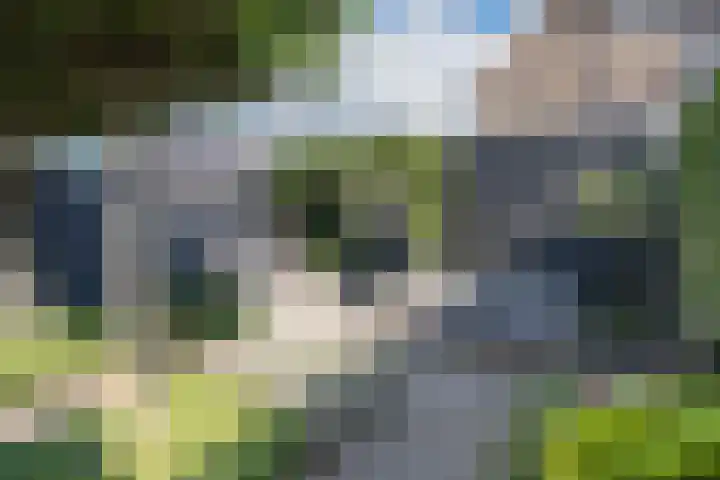 Buru 13 Barneveld thumbnail 38