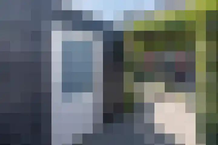 Buru 13 Barneveld thumbnail 39