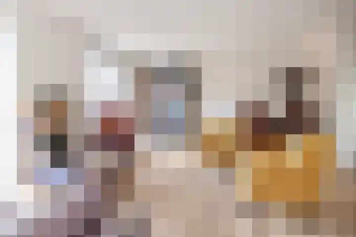 Buru 13 Barneveld thumbnail 4