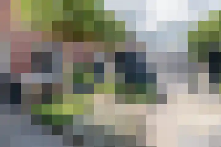 Buru 13 Barneveld thumbnail 40