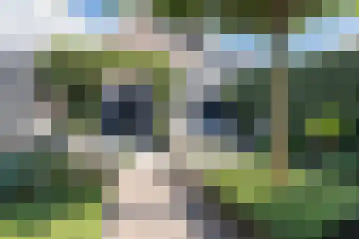 Buru 13 Barneveld thumbnail 41