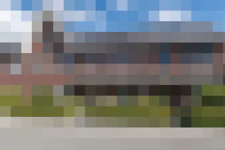 Buru 13 Barneveld thumbnail 42