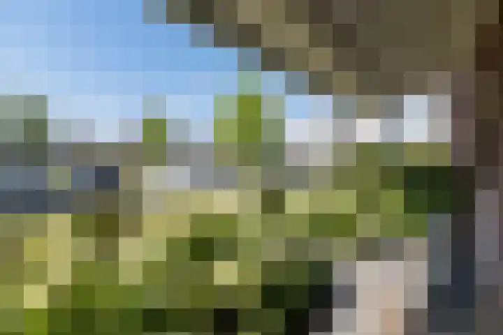 Buru 13 Barneveld thumbnail 44