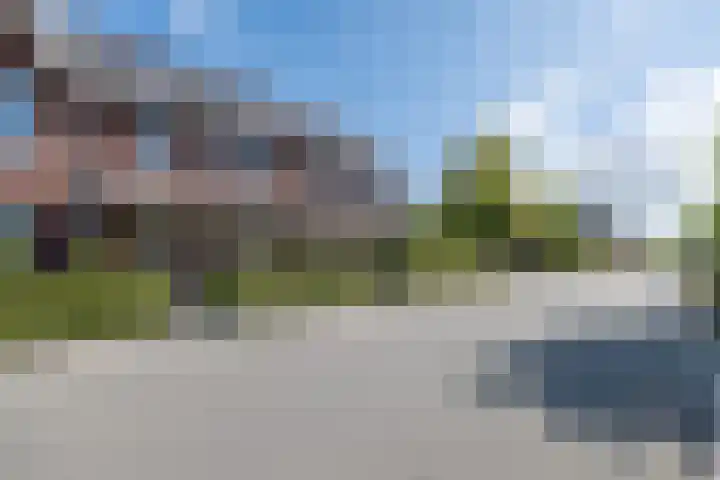 Buru 13 Barneveld thumbnail 45