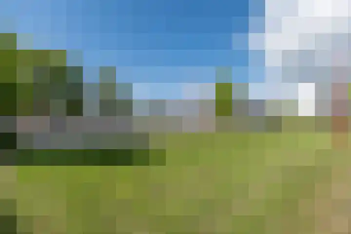 Buru 13 Barneveld thumbnail 46