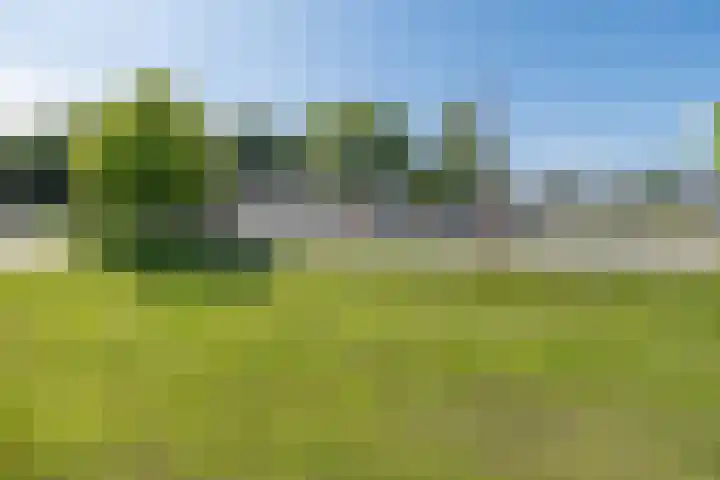 Buru 13 Barneveld thumbnail 47