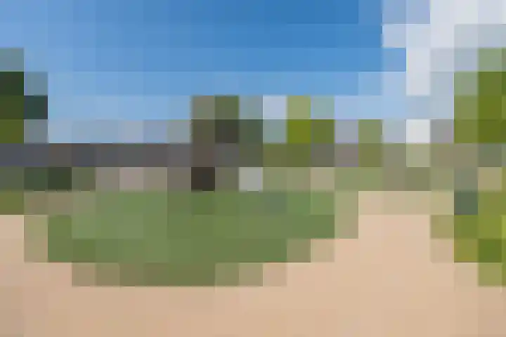 Buru 13 Barneveld thumbnail 48