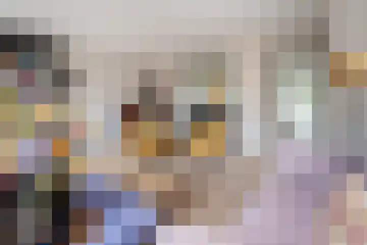 Buru 13 Barneveld thumbnail 5