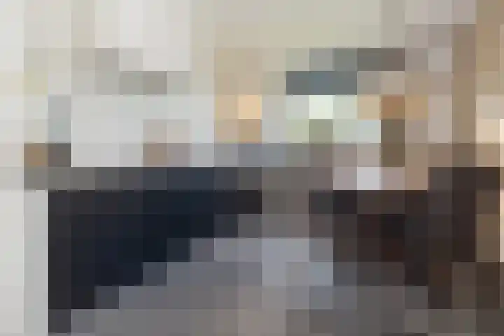 Buru 13 Barneveld thumbnail 9