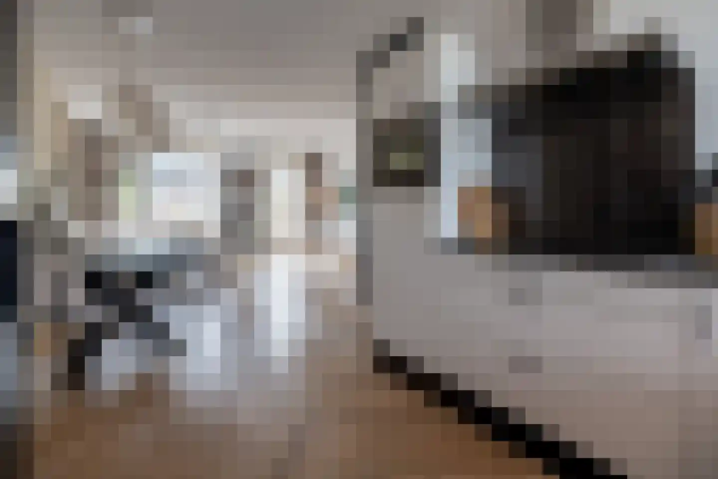 Buru 67 Barneveld thumbnail 10