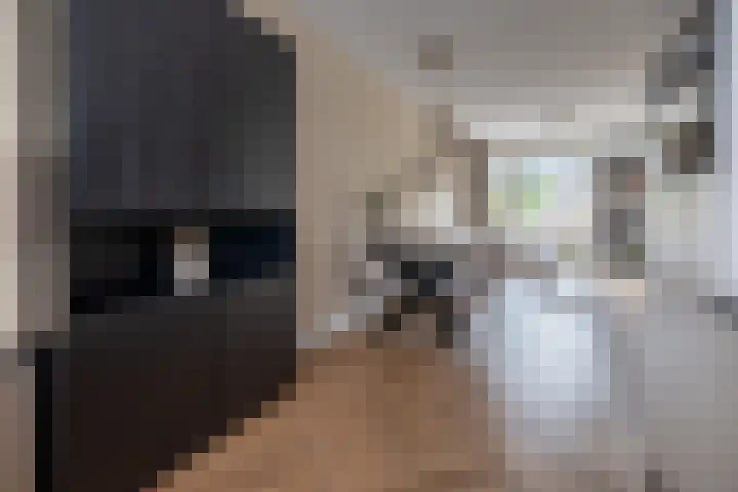 Buru 67 Barneveld thumbnail 12