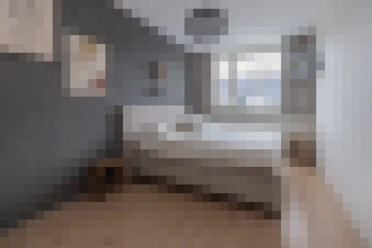 Buru 67 Barneveld thumbnail 16